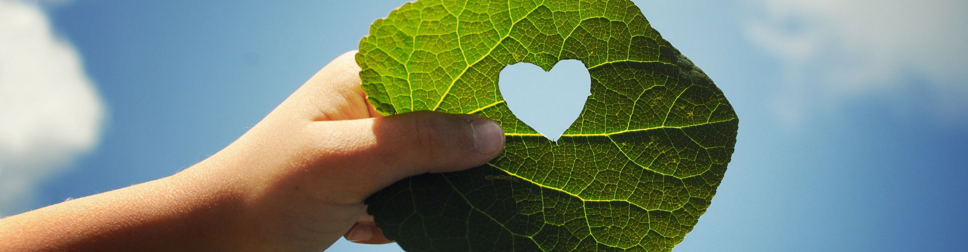 Nachhaltigkeit wird bei Zentratex groß geschrieben. Nur so können wir Natur und Umwelt schonen und schützen. Im Bild: Ein Blatt mit Herzform, gehalten von Kinderhand.